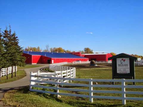 Maple Leaf Meadows International