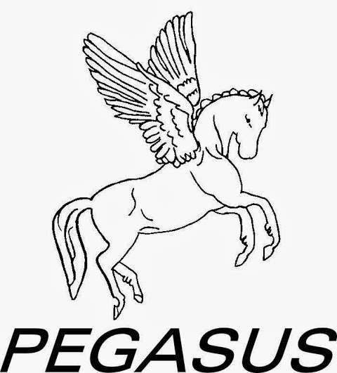 Pegasus Paper